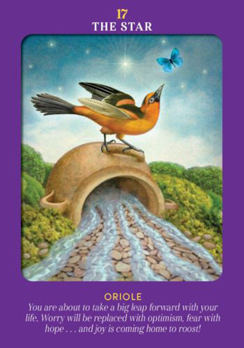 Animal Guides Tarot kortos Hay House