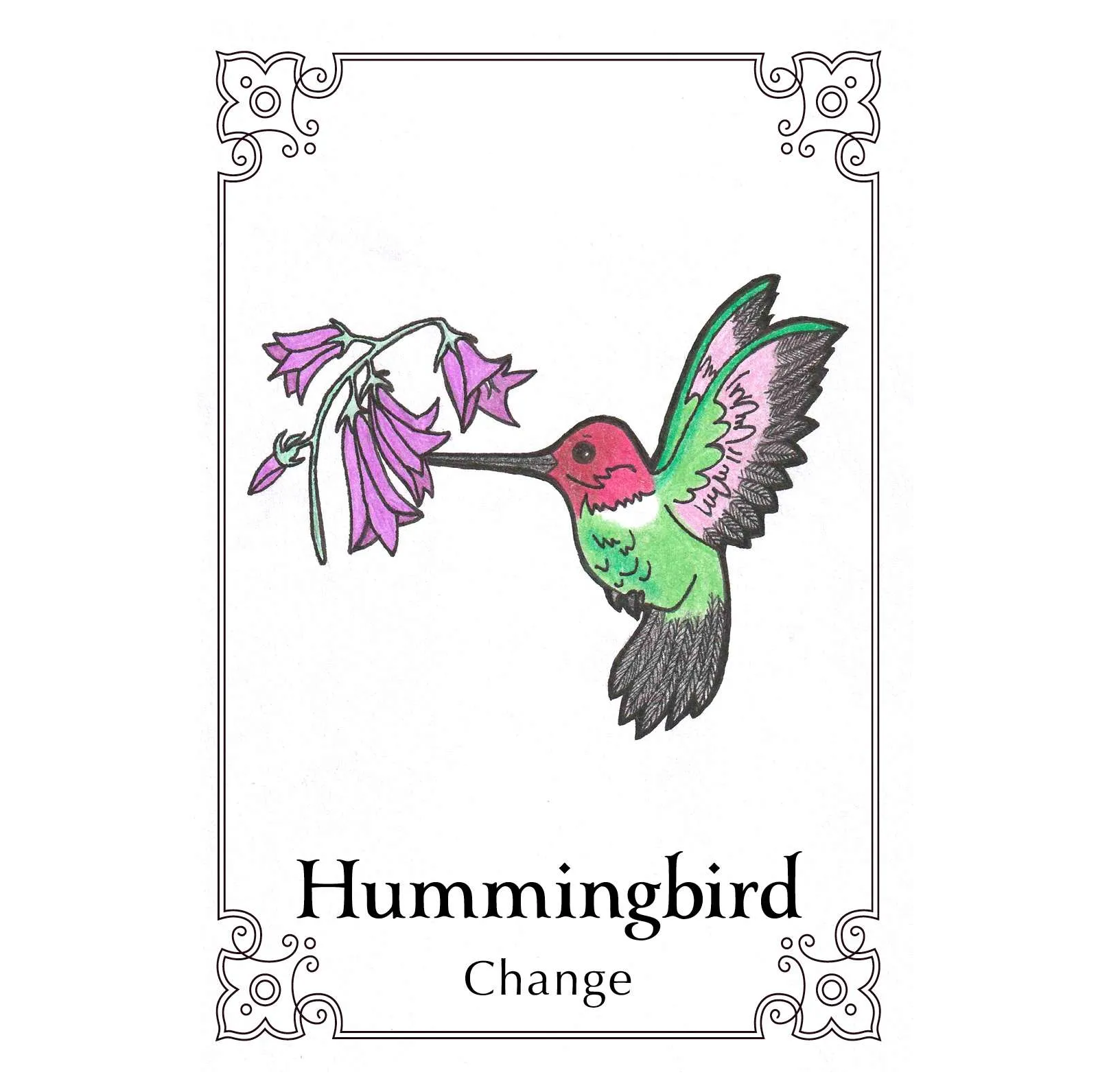 Sacred Bird Oracle kortos Animal Dreaming