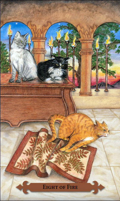 Mystical Cats Tarot kortos Llewellyn