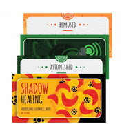 Shadow Healing: Aboriginal Guidance kortos Rockpool