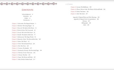 Baba Yaga's Book of Witchcraft knyga Llewellyn