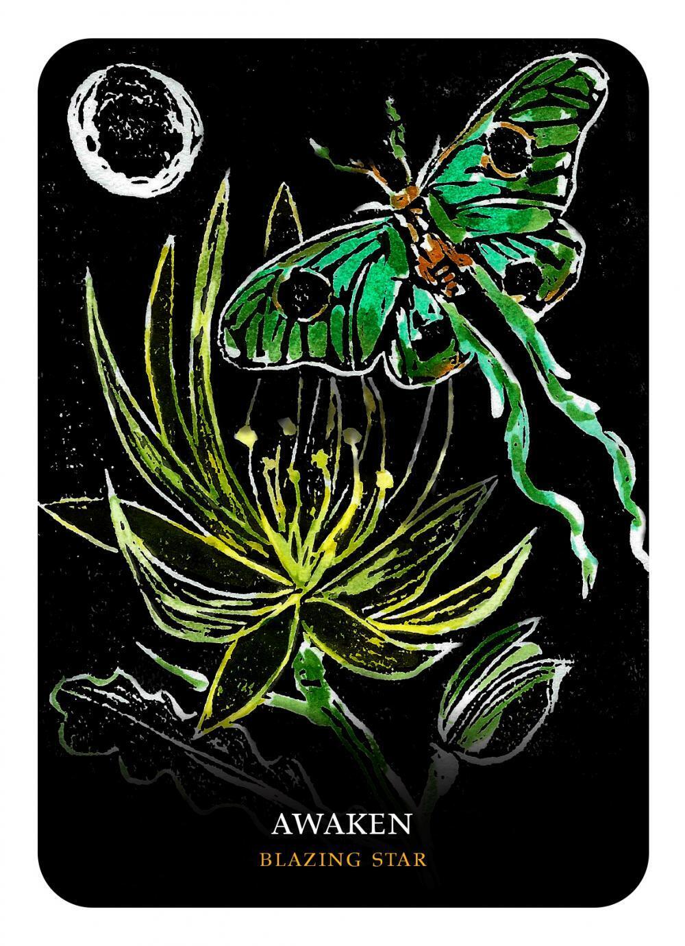 Flowers Of The Night Oracle kortos Rockpool