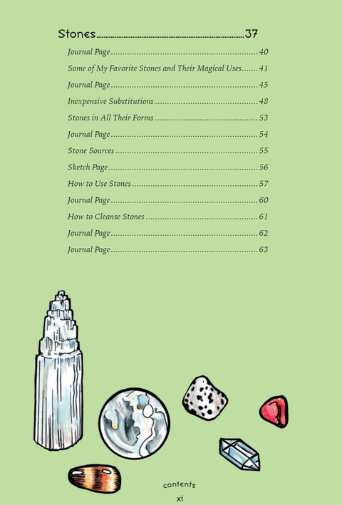 The Eclectic Witch's Book of Shadows knyga Llewellyn