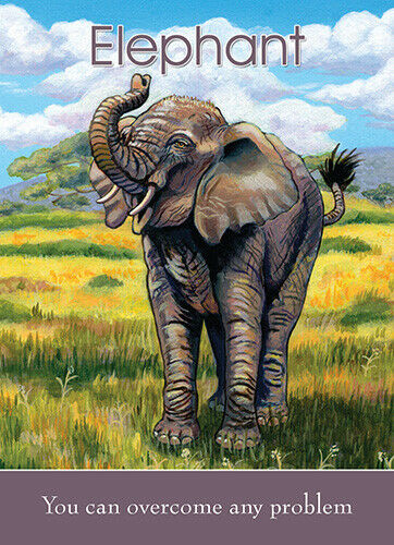 Childrens Spirit Animal Kortos Blue Angel