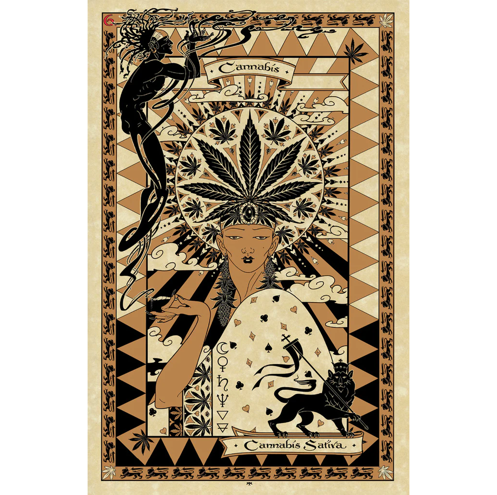 THE MAGICKAL BOTANICAL ORACLE: augalų išmintis iš raganos sodo – orakulo kortos + knyga