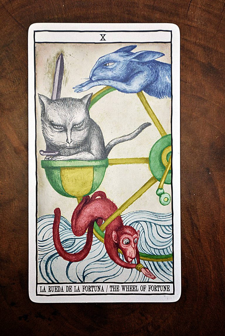 TAROT CATS: paslaptinga ir magiška kačių taro kaladė