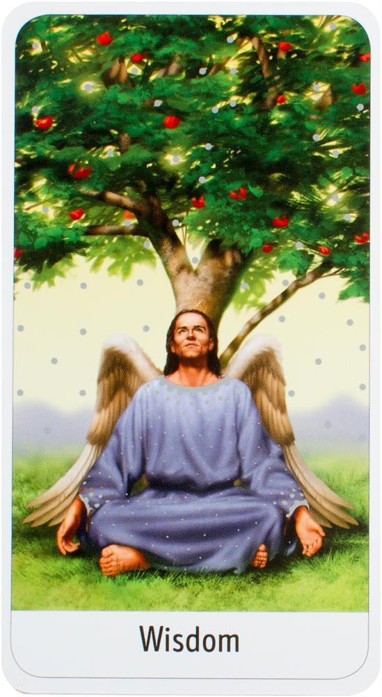 The Guardian Angel Oracle kortos Watkins Publishing