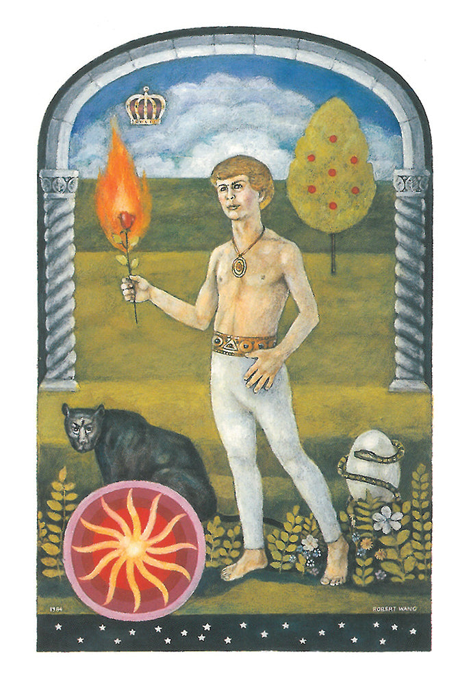 The Jungian Taro kortos US Games Systems
