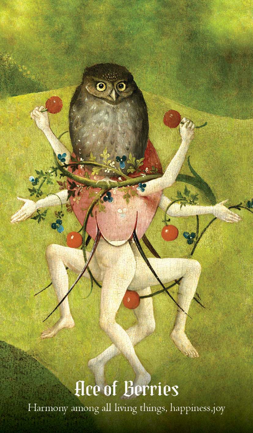 Hieronymus Bosch Taro kortos Rockpool