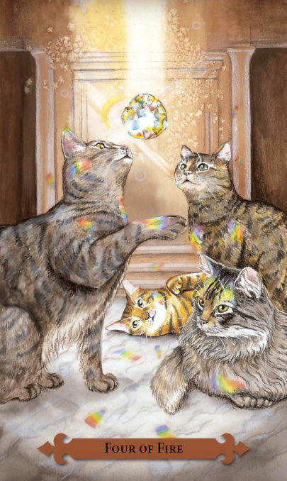 Mystical Cats Tarot kortos Llewellyn