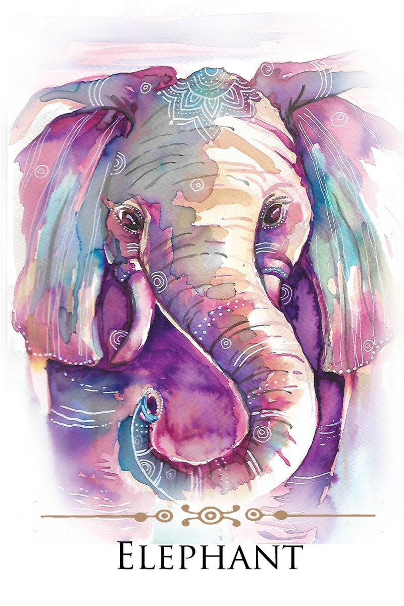 Spirit Animals Message kortos Animal Dreaming