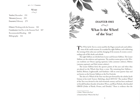 A Witch For Every Season knyga Llewellyn