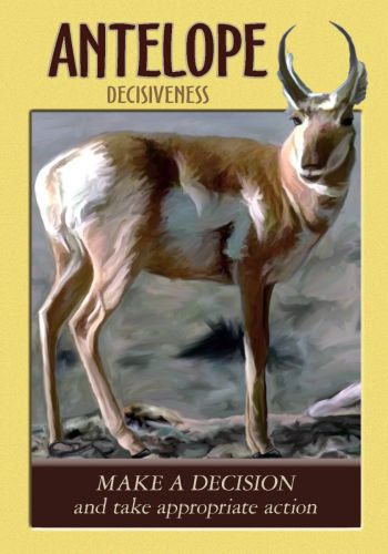 Power Animal Oracle kortos Hay House