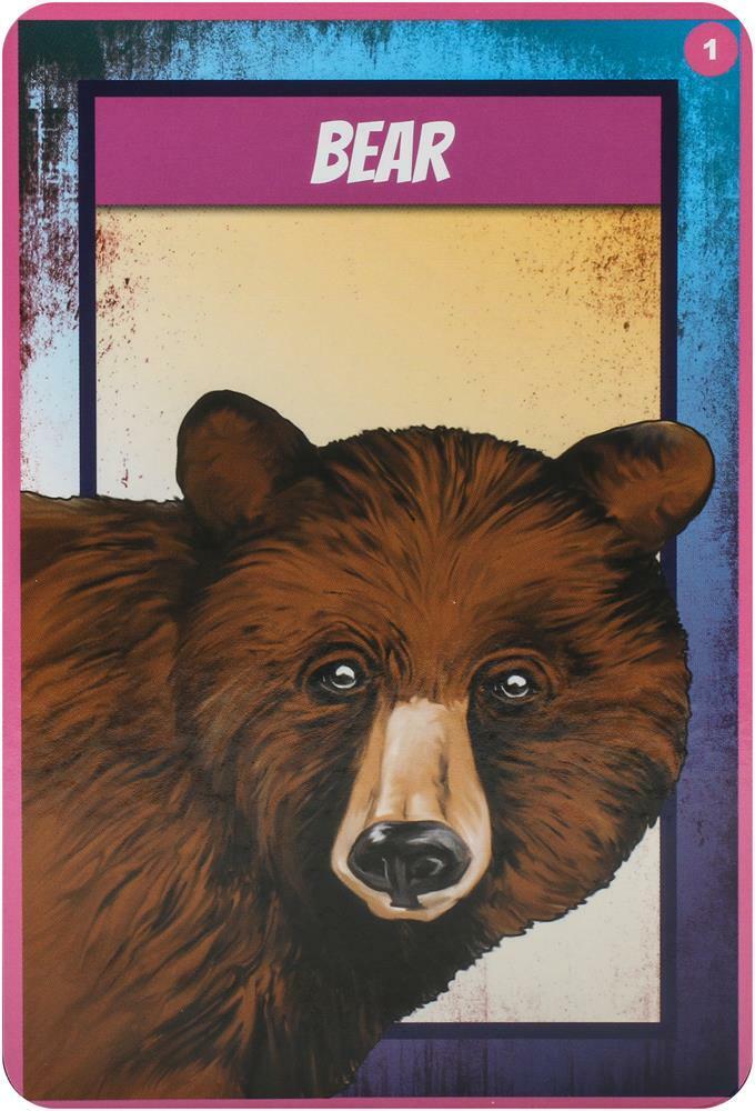Shamanic Power Animal Oracle kortos Findhorn Press
