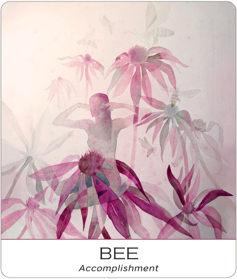 Nature and Soul Yoga Wisdom kortos US Games Systems