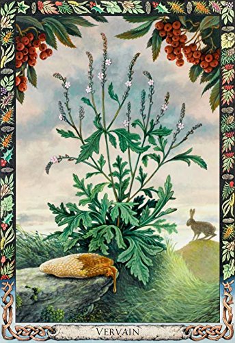 The Druid Plant Oracle Kortos Welbeck Publishing
