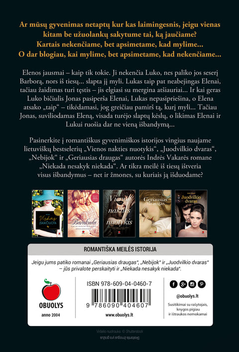 NIEKADA NESAKYK NIEKADA: romantiškas lietuviško bestselerio VIENOS NAKTIES NUOTYKIS autorės kūrinys, kuriame tarp meilės ir neapykantos - tik vienas žingsnis (ir atvirkščiai!) (Knyga su defektu)