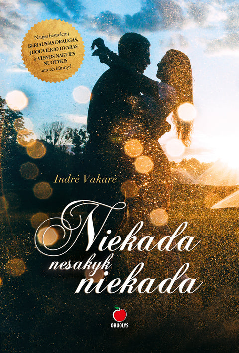 NIEKADA NESAKYK NIEKADA: romantiškas lietuviško bestselerio VIENOS NAKTIES NUOTYKIS autorės kūrinys, kuriame tarp meilės ir neapykantos - tik vienas žingsnis (ir atvirkščiai!) (Knyga su defektu)