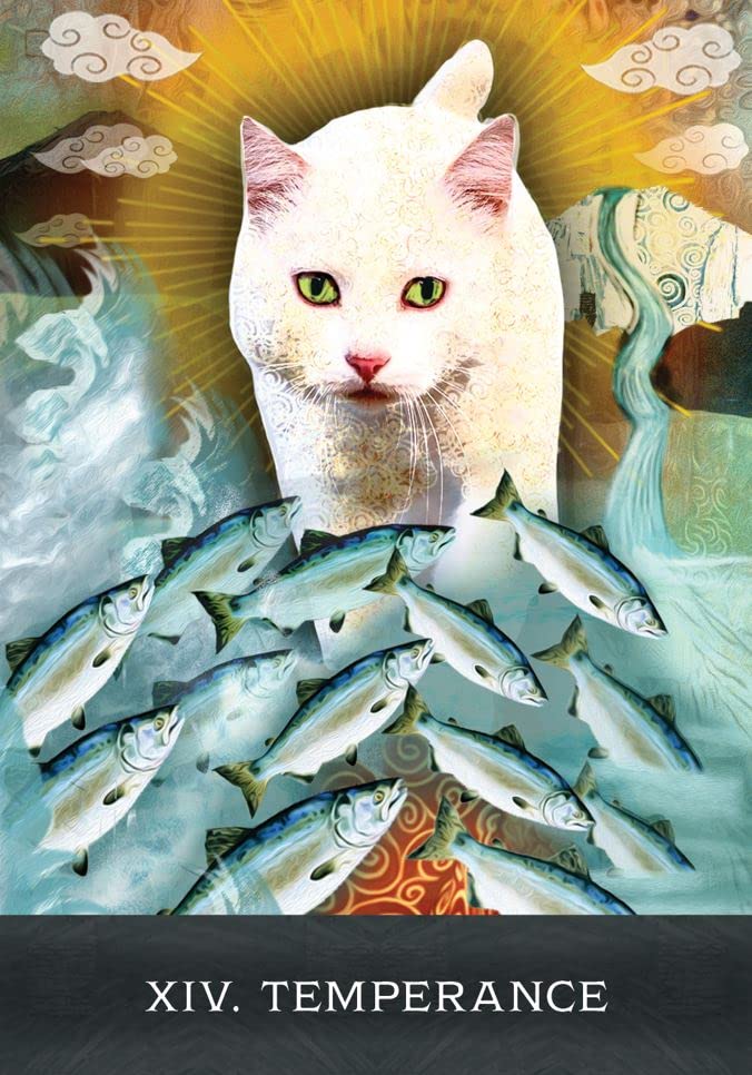 Grimalkins Curious Cats Tarot kortos Hay House