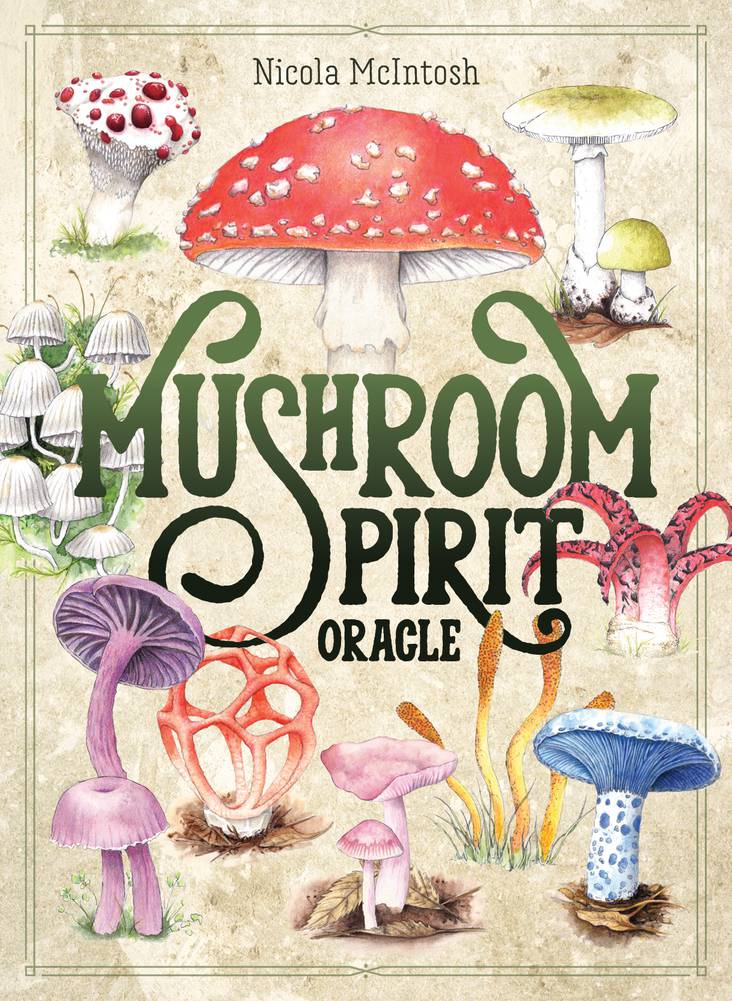 Mushroom Spirit Oracle kortos Rockpool Publishing