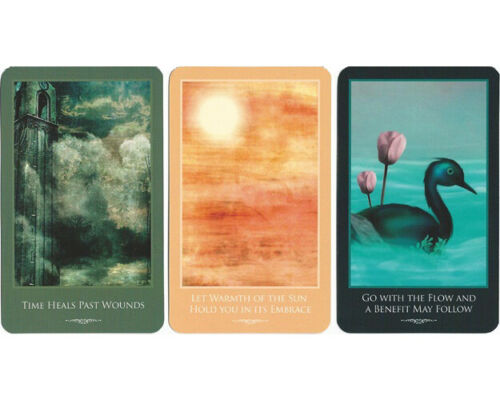 Inspirations for Survivors kortos Schiffer Publishing