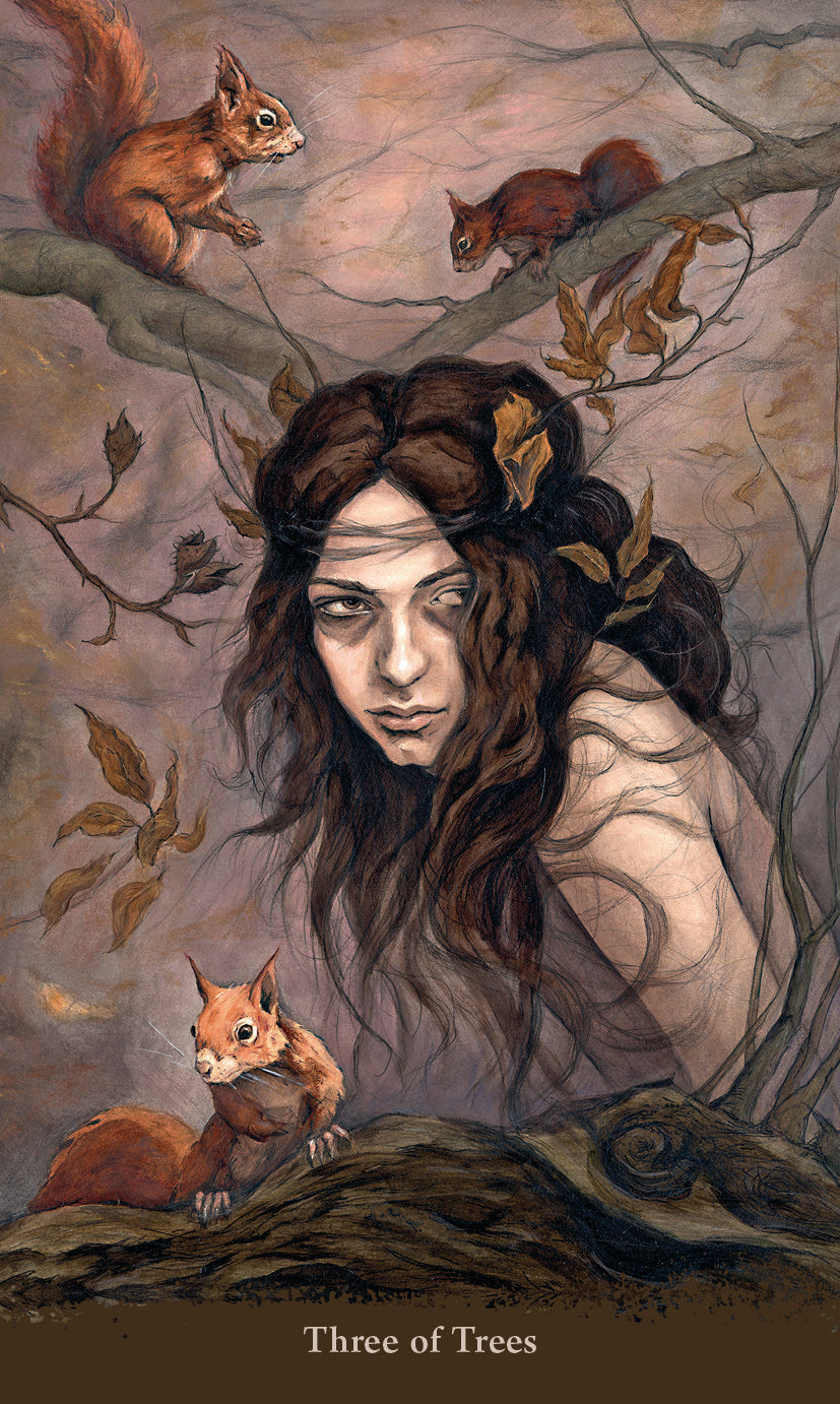 Witch Sister Taro kortos Llewellyn