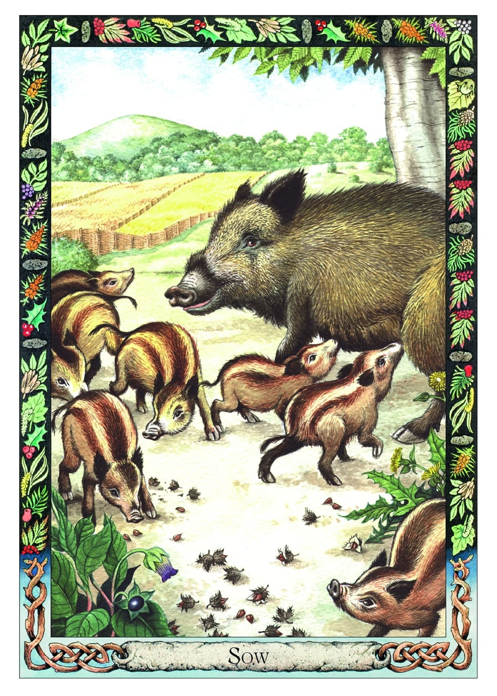 The Celtic Tree Oracle kortos Welbeck Publishing