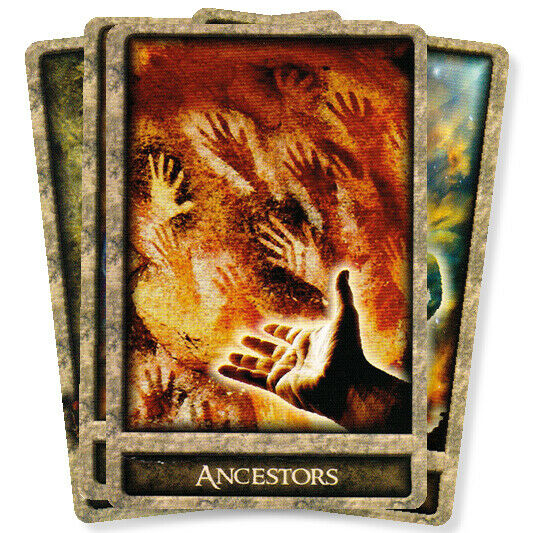 Shamans Path Message Kortos Animal Dreaming