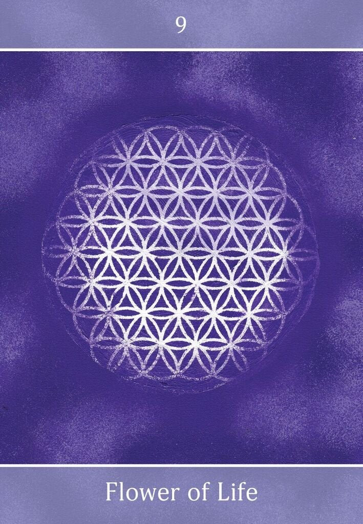 Beyond The Illusions Oracle kortos Animal Dreaming