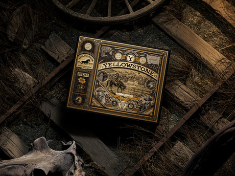 Yellowstone dėlionė 1000 detalių Theory11