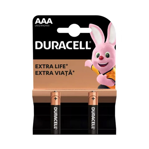 Duracell AAA LR03 1.5V MN2400 baterijos 2 vnt.
