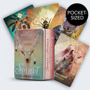 The Spirit Animal Pocket Oracle kortos dėžutėje Hay House