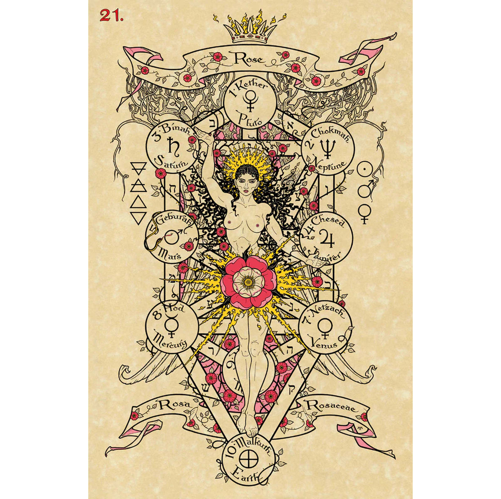 THE MAGICKAL BOTANICAL ORACLE: augalų išmintis iš raganos sodo – orakulo kortos + knyga
