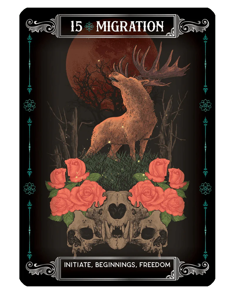 Earth & Bone Oracle kortos Rockpool