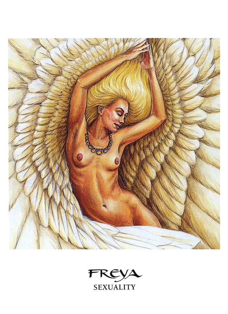 The Goddess Oracle kortų ir knygos rinkinys US Games Systems