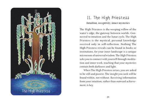 the Animystic Tarot kortos Schiffer Publishing