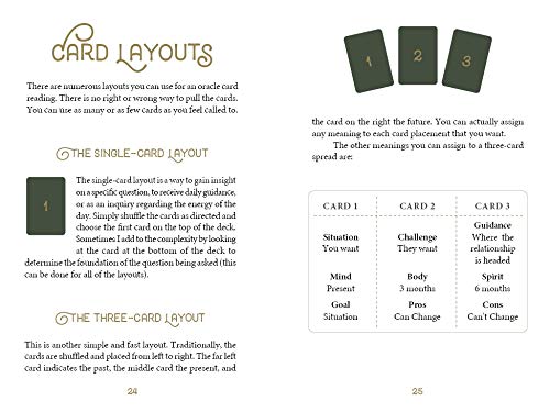 The Wild Elemental Oracle kortos Schiffer Publishing