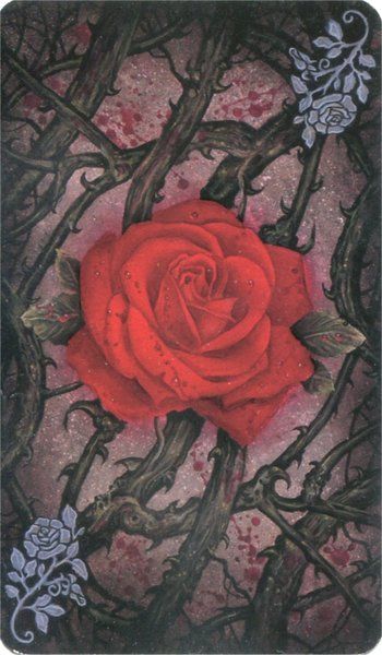 The Tarot Of Vampyres Kortos Llewellyn