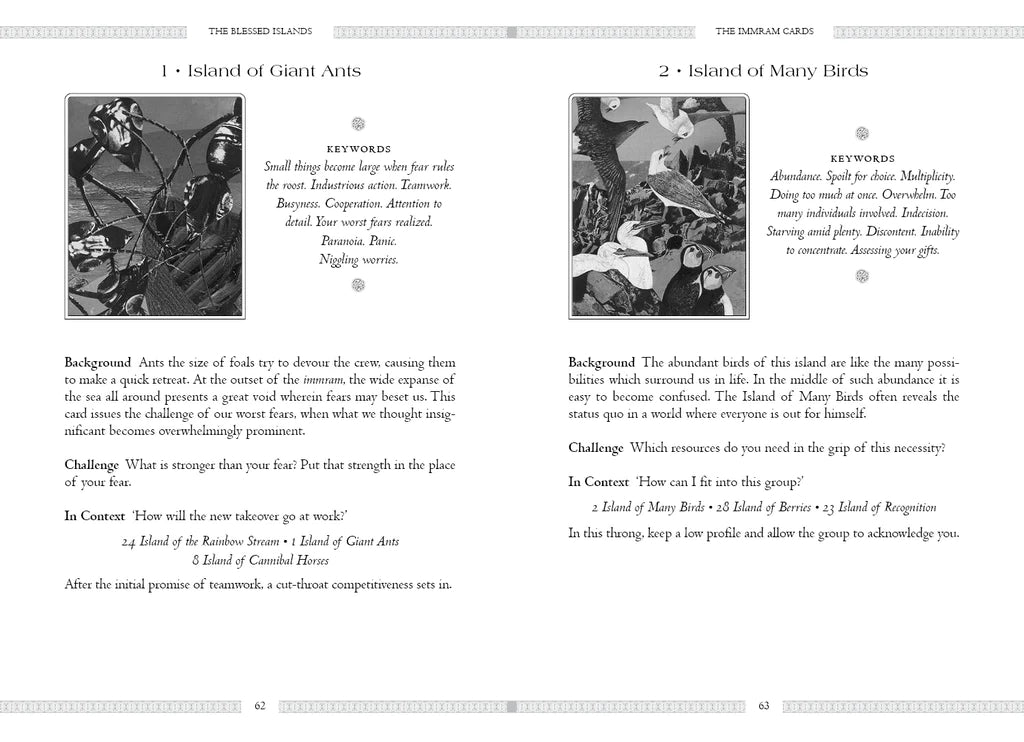 The Celtic Book of the Dead Oracle kortos Schiffer Publishing