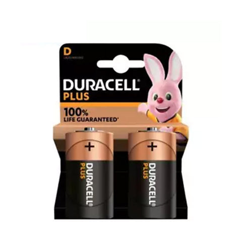 Duracell LR20 D  PLUS MN1300 šarminės baterijos 2 vnt.