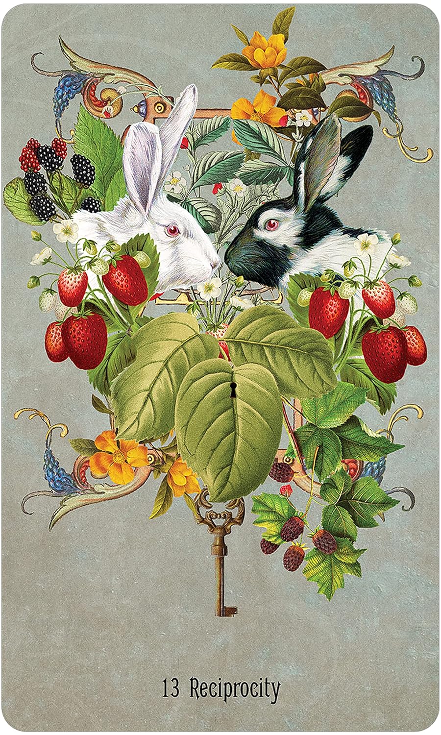Unlocking the Secret Garden Oracle kortos US Games Systems