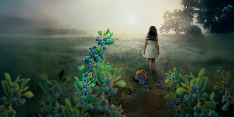 UOGŲ RINKĖJAI: romanas, kurio niekada nepamiršite