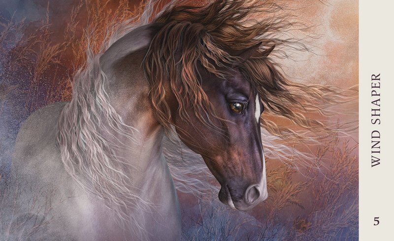 Horse Wisdom Oracle kortos Blue Angel