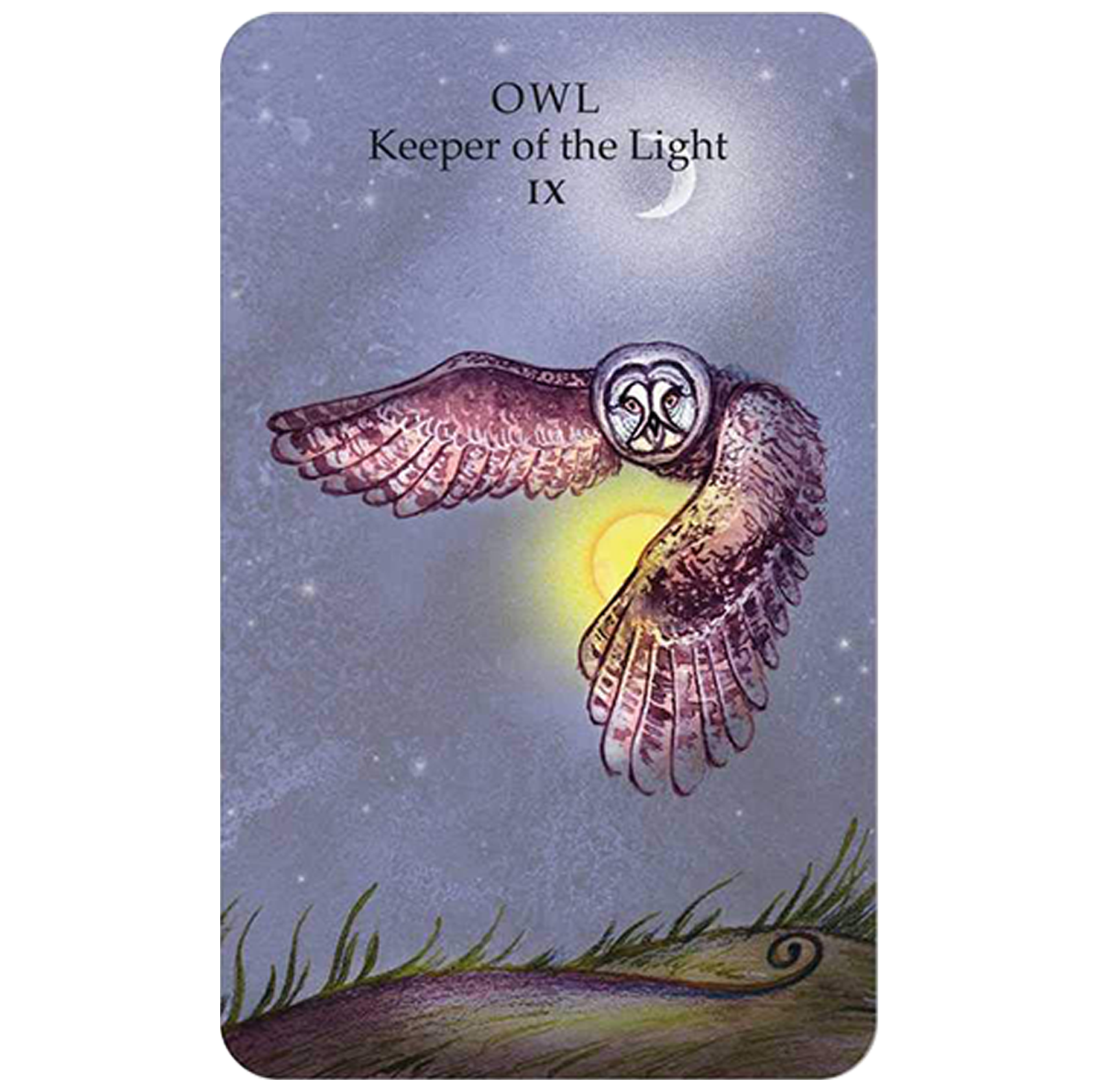 Spirit Animal Taro kortos Cico Books