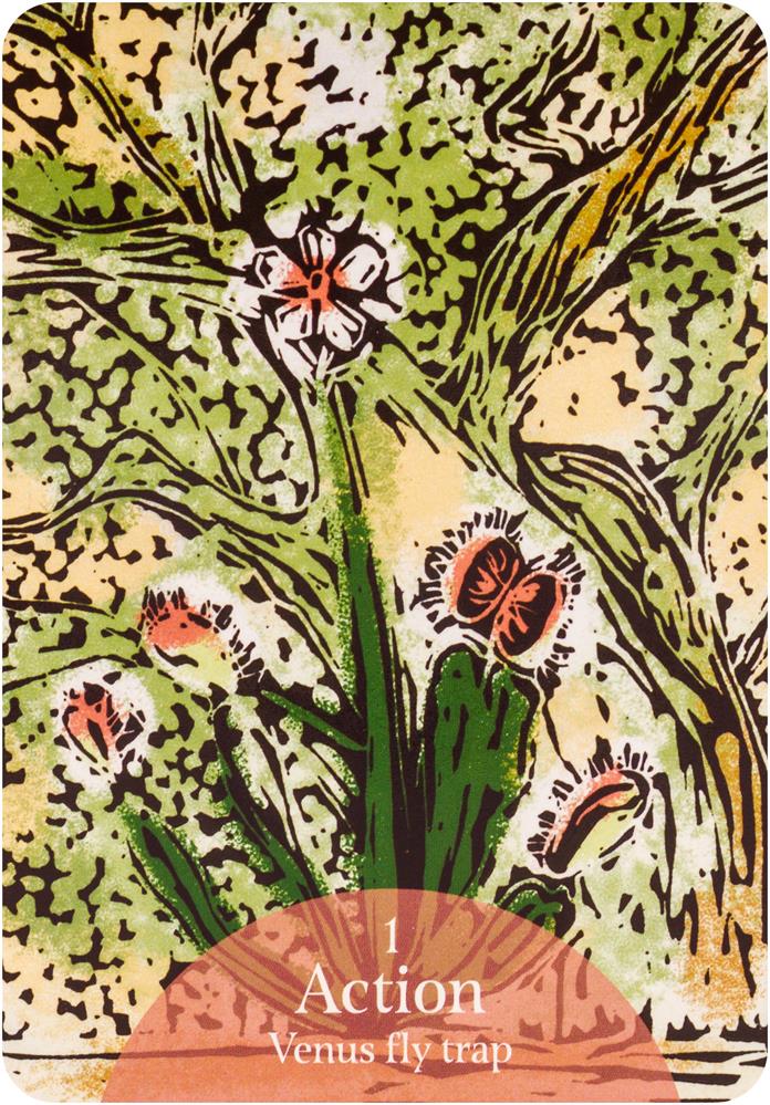The Language of Flowers Oracle kortos Rockpool