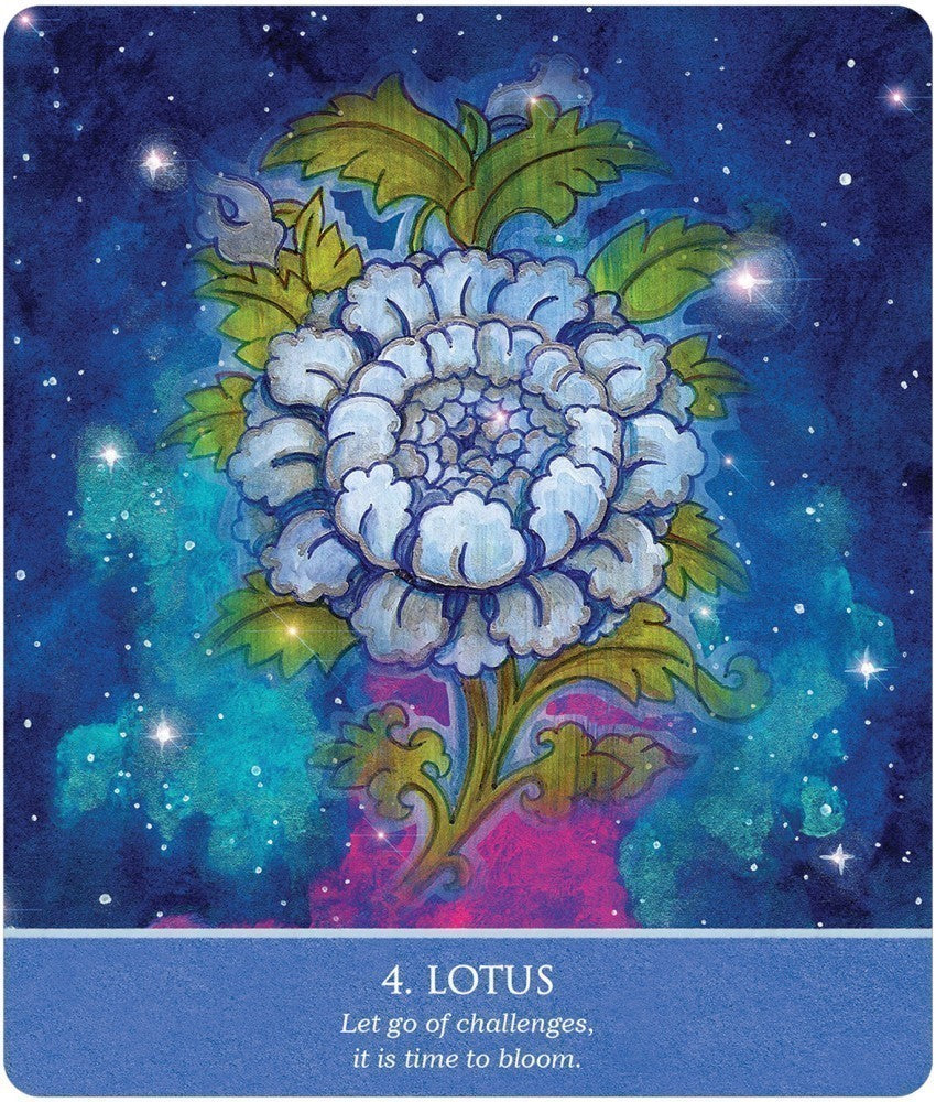 Auspicious Symbols Oracle kortos US Games Systems