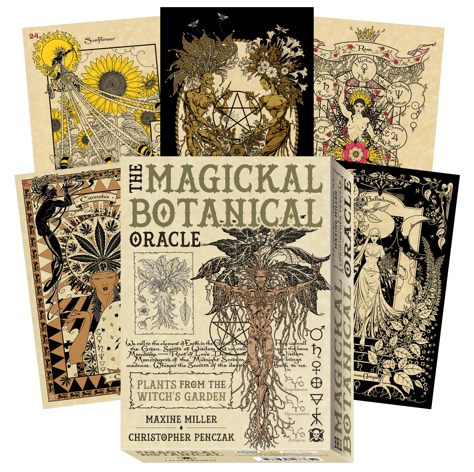 THE MAGICKAL BOTANICAL ORACLE: augalų išmintis iš raganos sodo – orakulo kortos + knyga