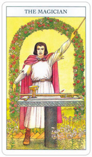 Beginners Guide To Tarot kortos ir knyga US Games Systems