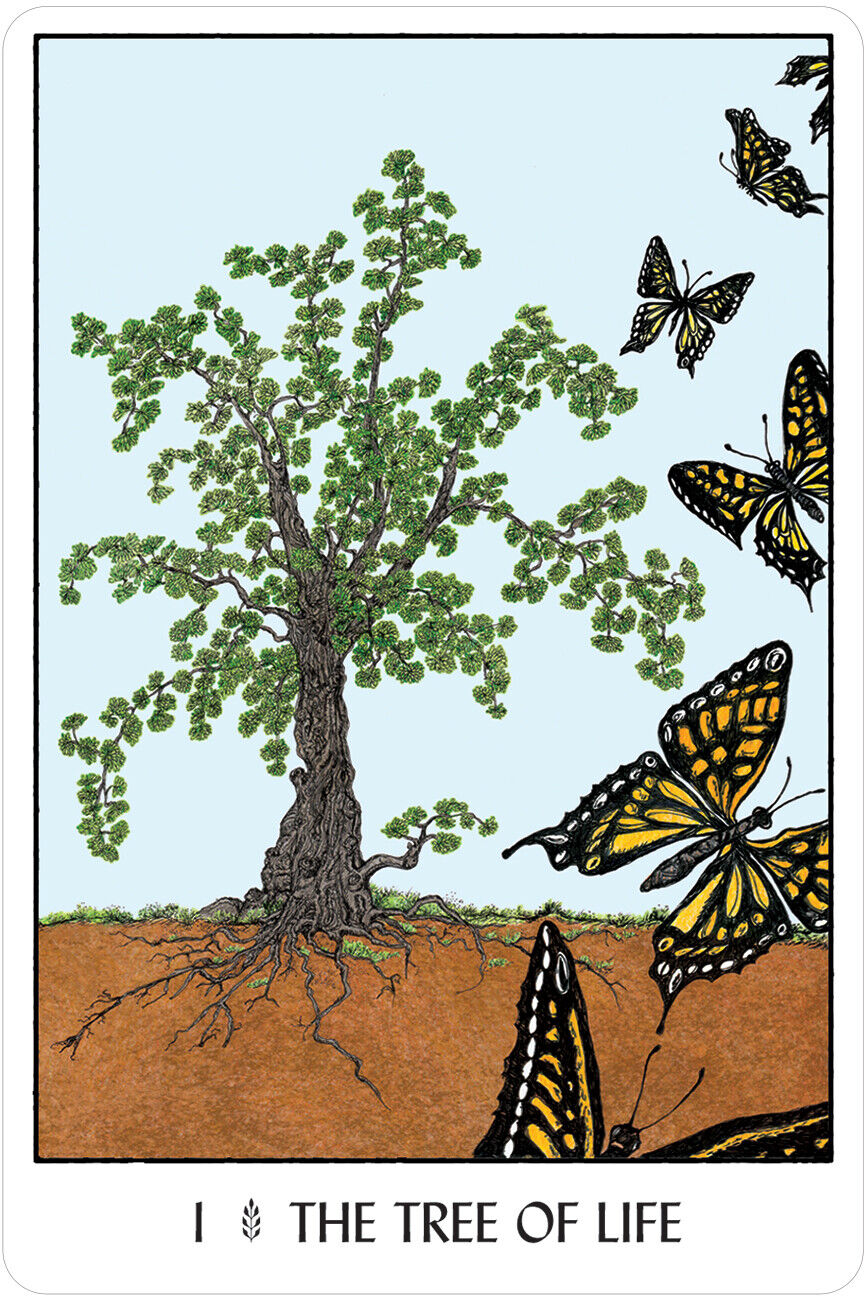 Oracle Of The Trees kortos US Games Systems