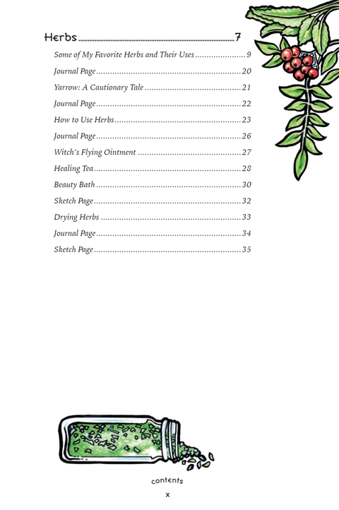 The Eclectic Witch's Book of Shadows knyga Llewellyn